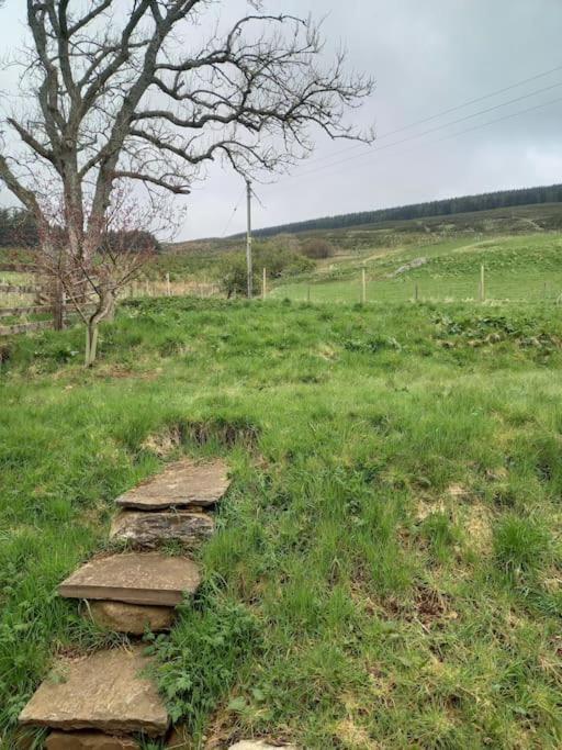 Lagganallachie Cottage ダンケルド エクステリア 写真